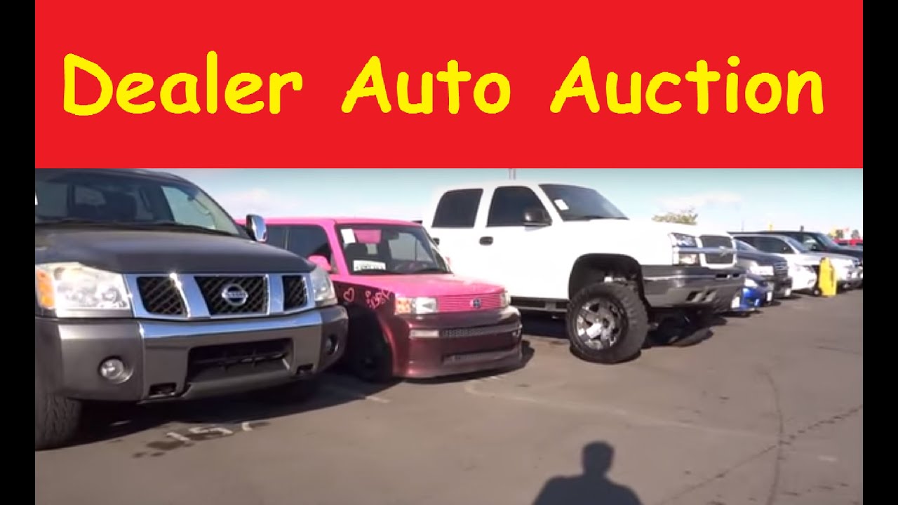 Wholesale Dealer Only Auto Auction Manheim Car Preview 1 YouTube
