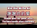 Andy Lau   謝謝你的愛 cover Xie Xie Ni De Ai