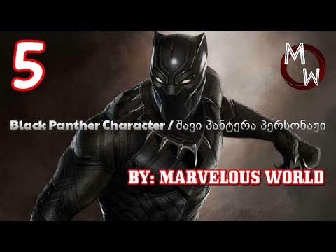 Black Panther Character / შავი პანტერა პერსონაჟი