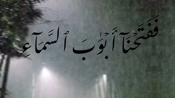 اليوم العالمي للقراءه الجهريه# فدعا ربه أني مغلوب فانتصر #تلاوات_خاشعه