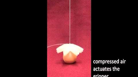 Soft Robotic Gripper