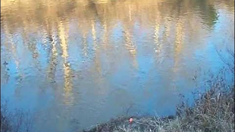 H2 EXPLODING TARGET 22 sensitive  5LB 2