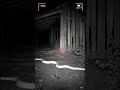 CCTV Camera Captures a Snake Near the Abandoned Barn at Night JANUARY 28, 2026Time 01:14:03