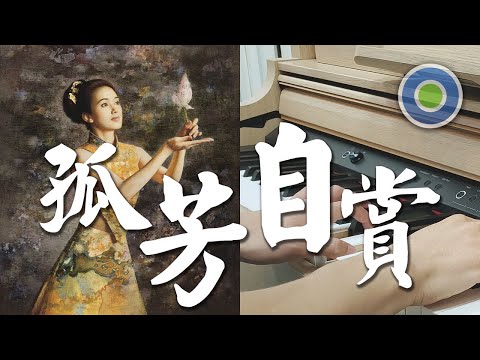 孤芳自賞 鋼琴版 (主唱: 楊小壯 )