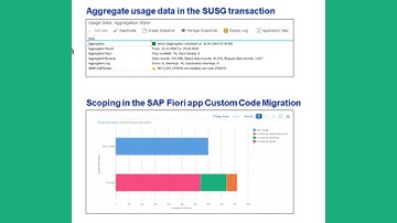 Collect Custom Code Usage Data with ABAP Call Monitor (SCMON) | SAP S/4HANA Migration Tutorial.