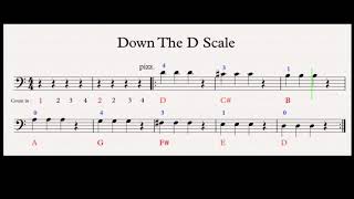 ESSENTIAL ELEMENTS FOR STRING CELLO BOOK 1 NO.33 & 34 DOWN & UP THE D SCALE_CELLO BEGINNER LESSON