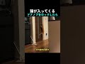 猫が入ってくるドアノブをロックしたら