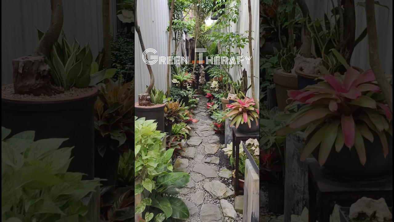 Green Therapy on Sunday Morning 