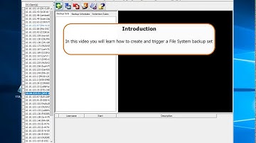 Asigra Plugin for FreeNAS – Creating a File System backup set