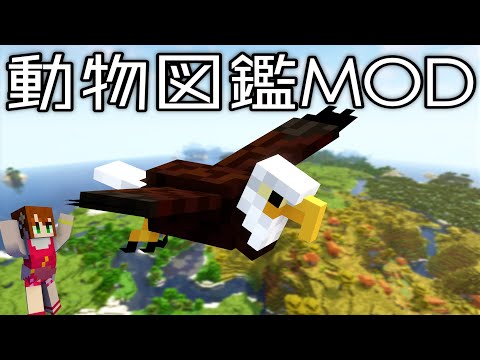 #10【動物図鑑MOD】拠点の動物が全滅しました、、、？【あかがみん/赤髪のとも】