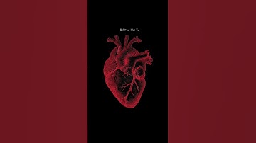 Heart Animation Using HTML CSS |#heartanimation #shortvideo #shorts #youtubeshorts #webdevelopement