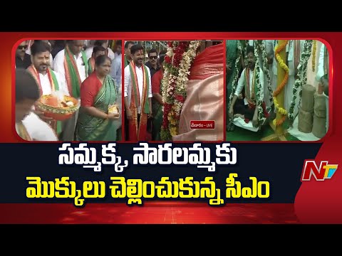 Medaram: సమ్మక్క, సారలమ్మకు నిలువెత్తు బంగారాన్ని సమర్పించిన సీఎం | CM Revanth Reddy | NTV Telugu - NTVTELUGU