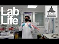 A day in the life ucl pstudent in labs