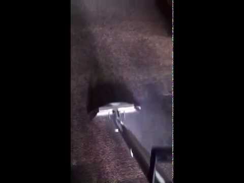 Carpet Steam Cleaning