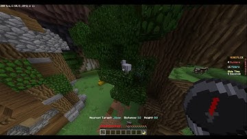 Bug/Map Exploit Report - _Wizop (Glitching up a tree)