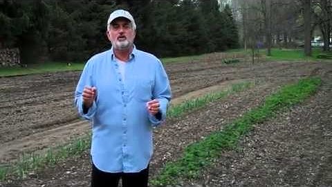 Skip Cohen // Photography Blog Strategy