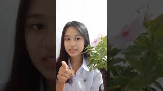 Tugas Bahasa Indonesia Sman 12 Depok Tentang Hasil Prngamatan Tapak Dara Alya Al Asry X-3