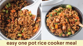 One Pot Rice Cooker Meal - The Foodie Takes Flight