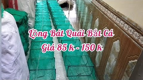 A Chiến Lưới Lồng Bát Quái Bắt Cá Tôm Tép Lươn Trạch - Lú Bát Quái Đánh Sông Ao Hồ Ruộng Lúa