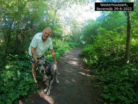 Westerhoutpark, Beverwijk 29-6-2022