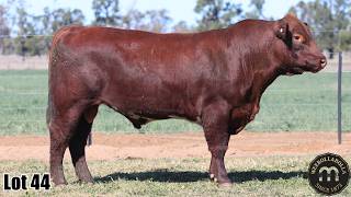 Lot 44 Weebollabolla Volkman V112