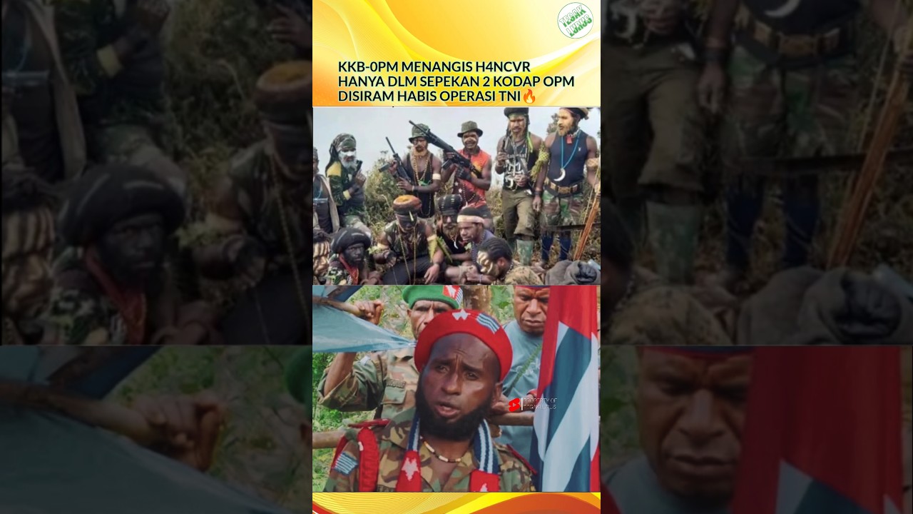 TNI BABAT HABIS 2 KODAP OPM dalam Sepekan🔥