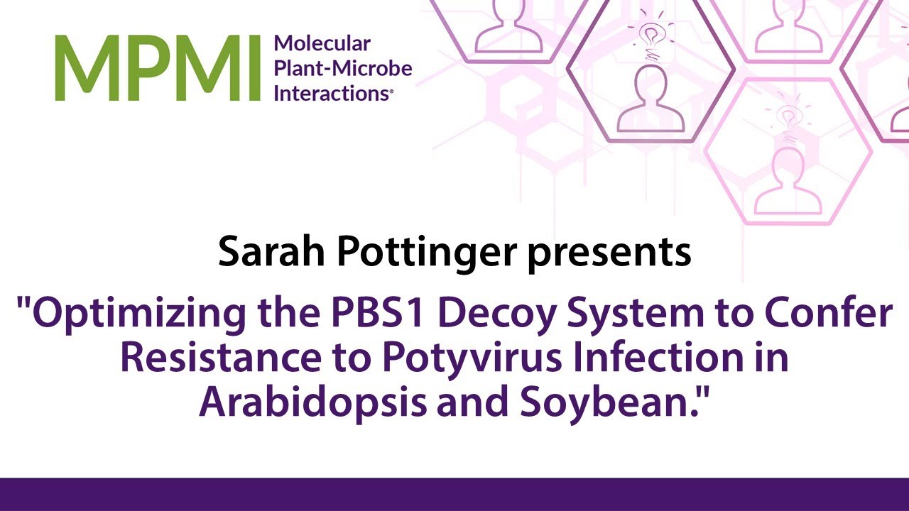 What's New in MPMI with Sarah Pottinger