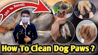 Dogs Paws Protection || डॉग के पंजों को कैसे साफ़ करे 🤔 ? || Best Paw Cleaning Product #crackonpaws