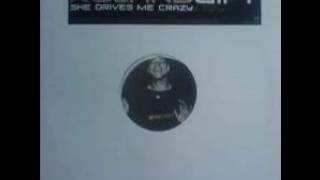 Roland Gift-She Drives Me Crazy  (A. R. Remix)
