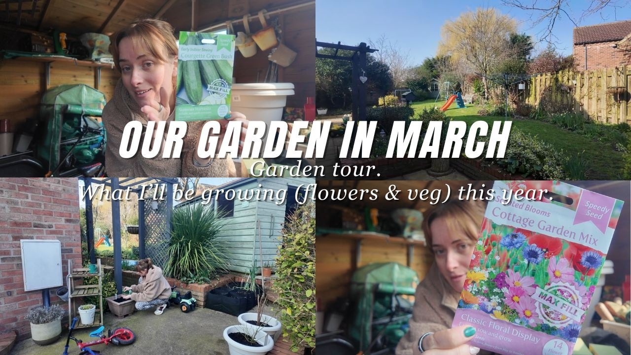 Our garden in spring, March. What I'm growing fruit & veg this year. Garden tour.