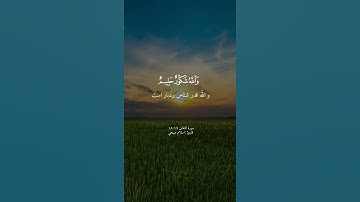 سورة التغابن ١٧ ١٨
