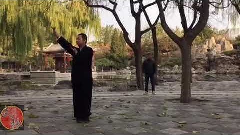 程式八卦掌 - 柔功 - Cheng - shi Baguazhang