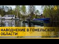 Гомельская область уходит под воду! Затапливает дома, спасатели дежурят круглосуточно