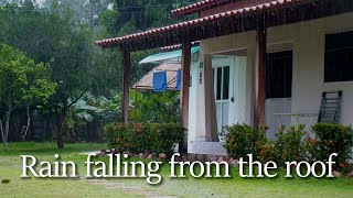 The sound of rain falling from the tiled roof of a happy family/sound of falling water/lullabies