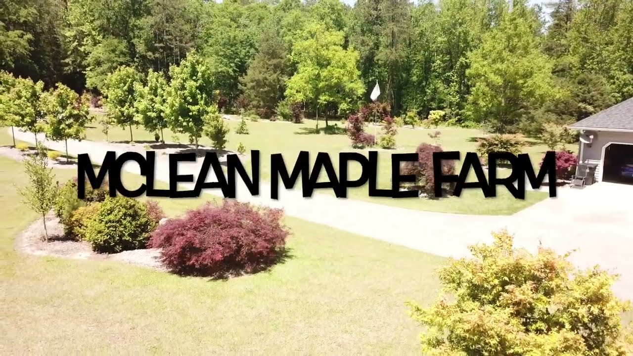 McLean Maple Farm May 2023