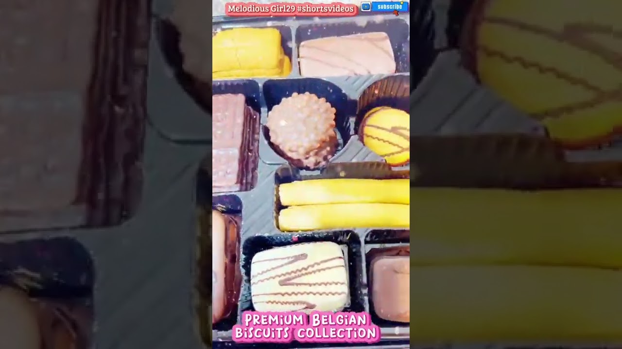 PREMIUM BELGIAN BISCUIT COLLECTION 