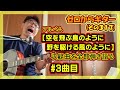 松山千春のアルバム【空を飛ぶ鳥のように野を駆ける風のように】の収録曲を全部弾き語る!! 3曲目「かわいい女はかわいいままで」 | ゼロからギター (その317)