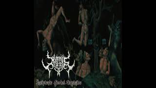 Hibris Tirria - Incipiente portal orgánico