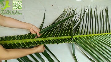 Hướng dẫn đan cọng lá dừa bằng 2 cách đơn giản nhất