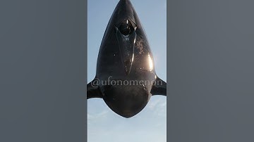 Watch what just came flying out the ocean! Is it a UFO disguised as a whale? Let me know