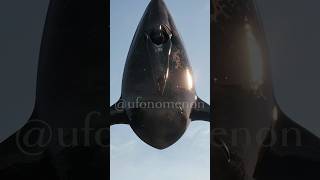 Watch What Just Came Flying Out The Ocean Is It A Ufo Disguised As A Whale? Let Me Know