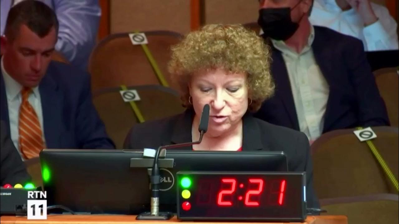 Amy Rosenthal of NCCI speaks to Raleigh City Council about Deadly