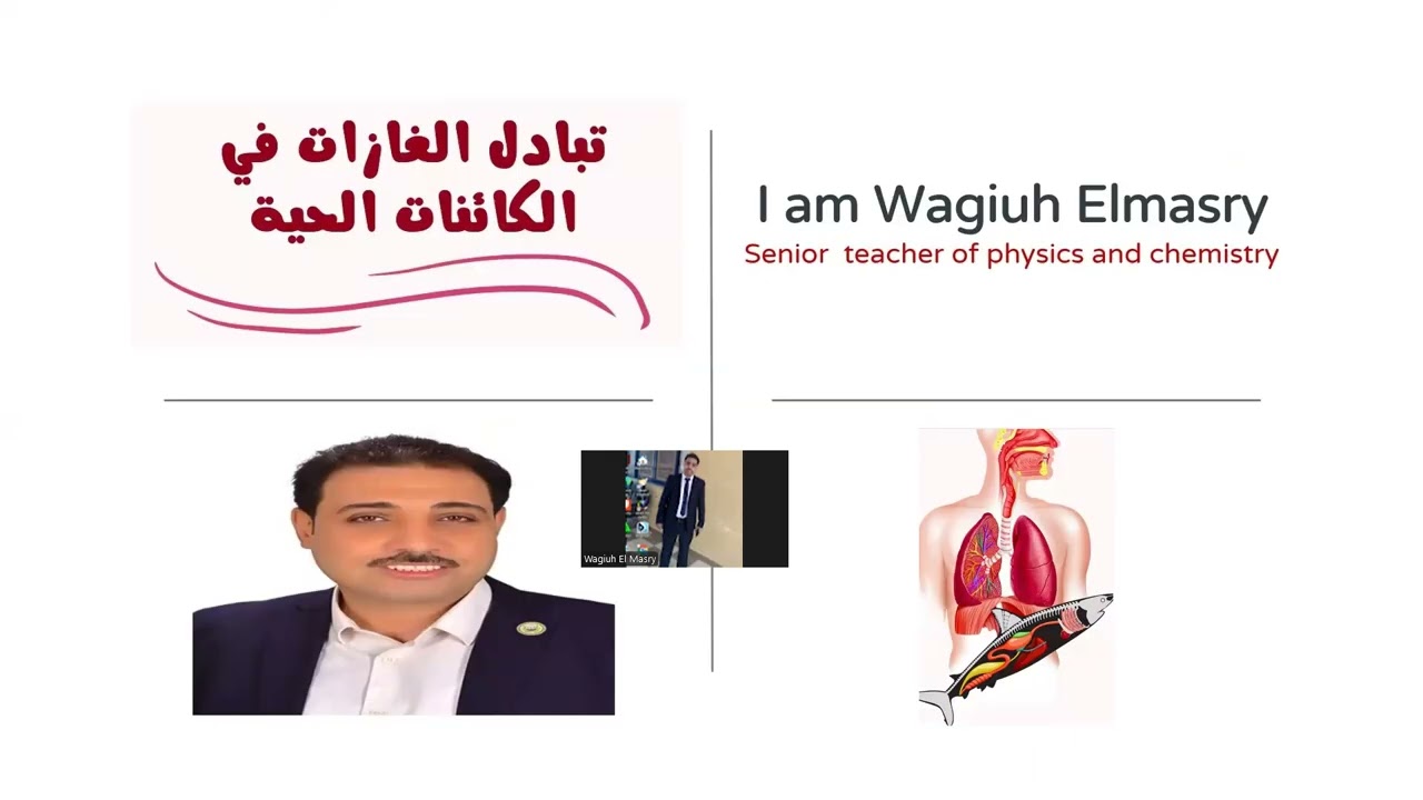 تبادل الغازات - علوم بيئة  الصف الثانى عشر -  دكتور وجيه المصرى - 77596408