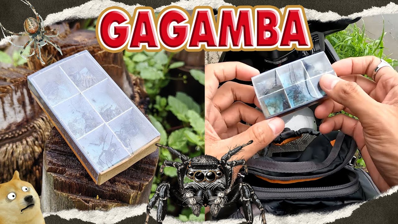 NAUUSO NANAMAN NGAYON ANG MGA 