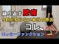 膝の痛みを治す前脛骨筋のセルフケア！前脛骨筋が硬いと膝はねじれて傾いてどんどん痛みが悪化する…