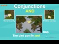 Understanding Conjunctions