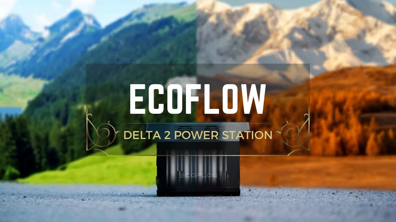 EcoFlow DELTA 2 + DELTA 2 Smart Extra Battery Bundle DELTA2-DELTA2EB –  Portable Power Plus