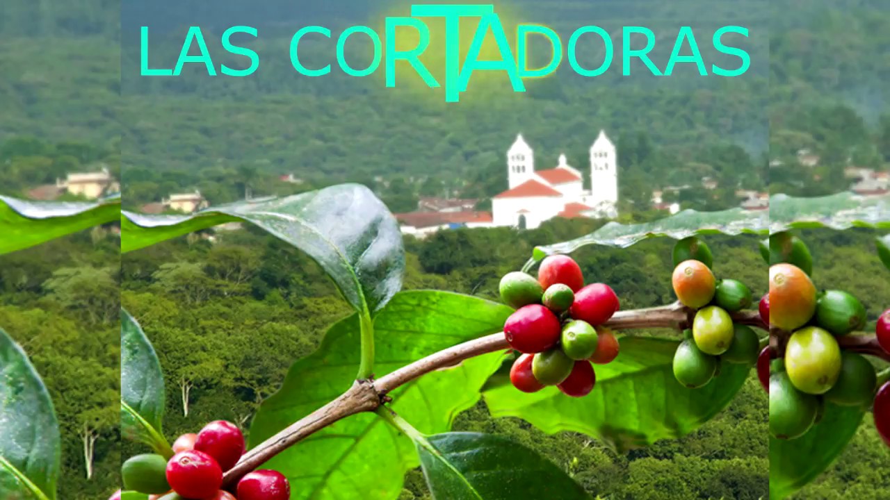 Las Cortadoras de Pancho Lara.