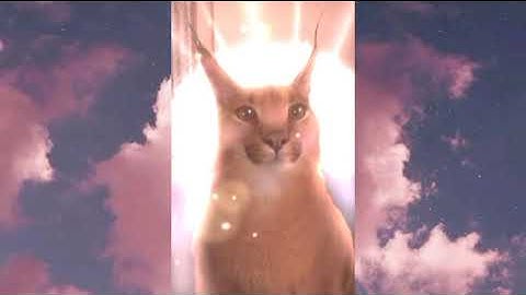 Raise a Floppa - Mysterious Orb Ending song (Aerial Choir)