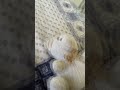 O dia que minha mente acordou, resumindo: descobri que eu existo